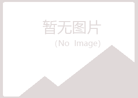 泽库县冰夏采矿有限公司